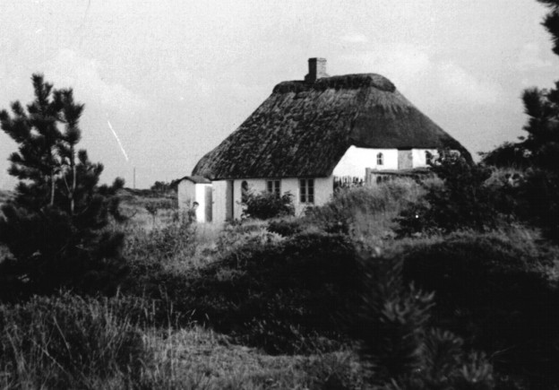 Suche nach altem Ferienhaus auf Römö